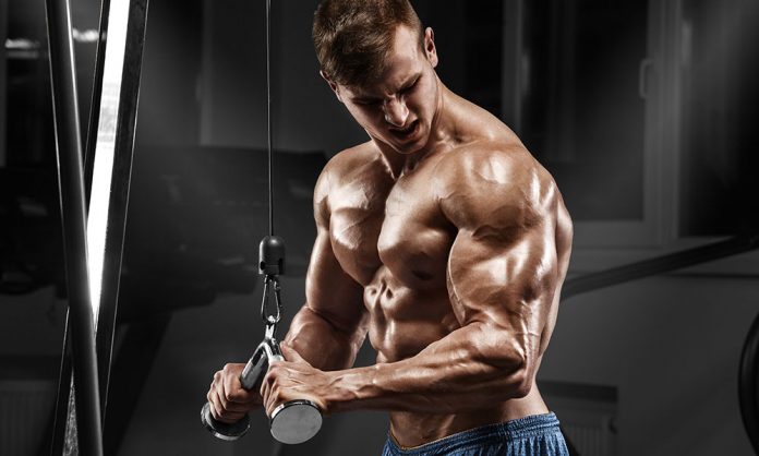 veći triceps