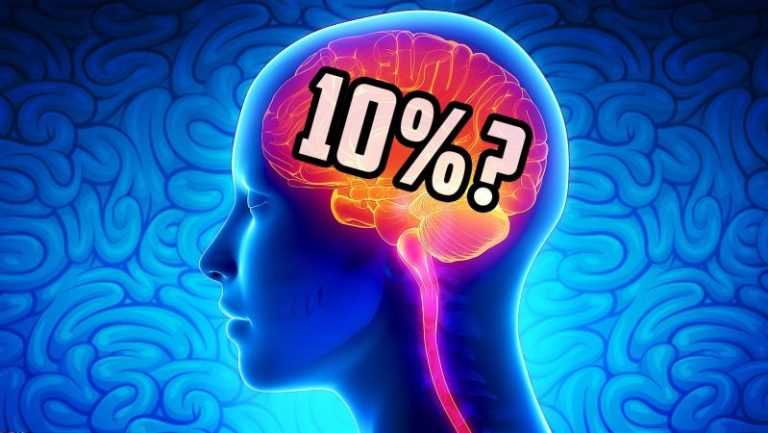 Da li zaista koristimo samo 10 posto mozga?