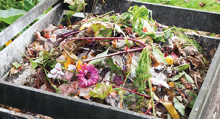 Šta je biorazgradivi otpad