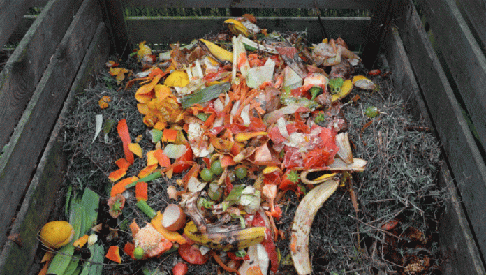 Šta je biorazgradivi otpad