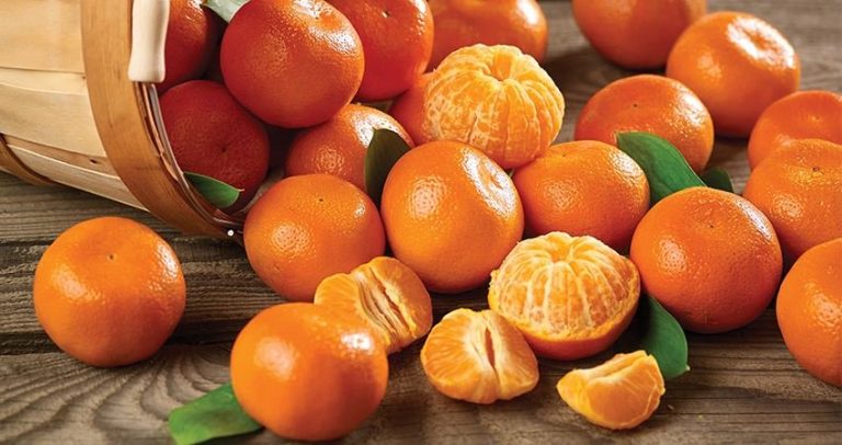 Zašto jesti mandarine